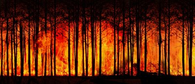 Kanada: ADRA unterstützt durch Waldbrände vertriebene einheimische Bevölkerung